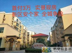 首付3萬，新區(qū)安個(gè)家